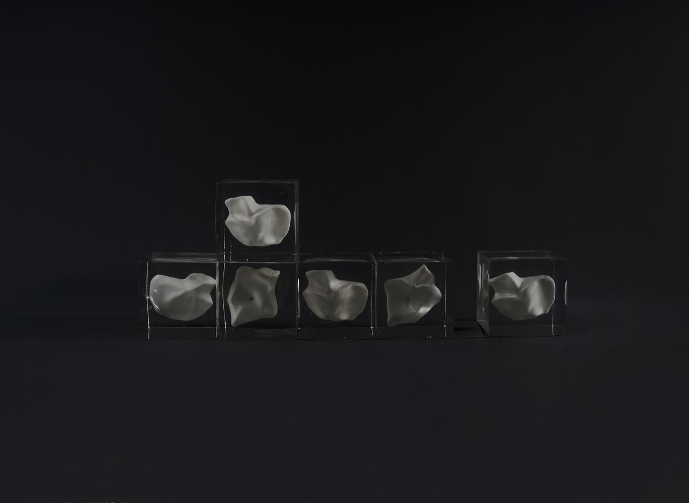 form of sensation 8